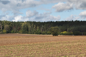 Działka na sprzedaż 33000m2 oławski Jelcz-Laskowice Biskupice Oławskie Główna - zdjęcie 3