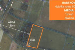 Działka na sprzedaż 8000m2 oleśnicki Dobroszyce Bartków - zdjęcie 3