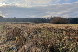 Działka na sprzedaż 1816m2 oleśnicki Dobroszyce Malerzów Żurawia - zdjęcie 1