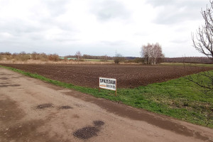 Działka na sprzedaż 7000m2 średzki Środa Śląska Przedmoście - zdjęcie 1