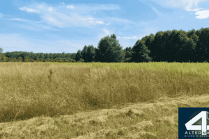 Działka na sprzedaż 8976m2 zgierski Parzęczew Chociszew - zdjęcie 1