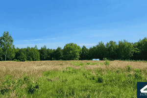 Działka na sprzedaż 3023m2 bieruńsko-lędziński Bojszowy - zdjęcie 1