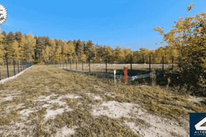 Działka na sprzedaż 1000m2 zgierski Zgierz Skotniki - zdjęcie 3