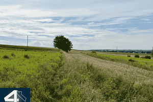 Działka na sprzedaż 1600m2 krakowski Iwanowice Poskwitów - zdjęcie 1