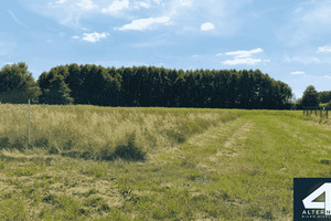 Działka na sprzedaż 7128m2 zgierski Parzęczew Chociszew - zdjęcie 2