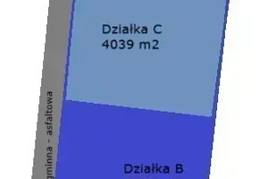 Działka na sprzedaż 4023m2 zgierski Aleksandrów Łódzki - zdjęcie 3