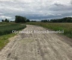 Działka na sprzedaż 5500m2 lipnowski Wielgie - zdjęcie 3