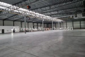 Komercyjne do wynajęcia 4828m2 Bydgoszcz - zdjęcie 2