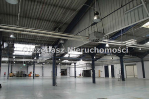 Komercyjne do wynajęcia 1800m2 Bydgoszcz Bydgoszcz Wsch, Siernieczek, Brdyujście - zdjęcie 1