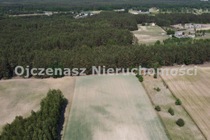 Działka na sprzedaż 4700m2 świecki Lniano Jędrzejewo - zdjęcie 2