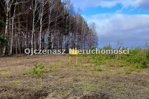 Działka na sprzedaż 3066m2 tucholski Lubiewo Sucha - zdjęcie 2