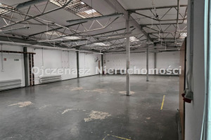 Komercyjne do wynajęcia 400m2 Bydgoszcz Centrum - zdjęcie 3