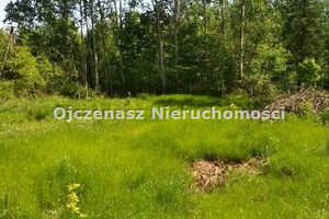 Działka na sprzedaż 7059m2 świecki Świekatowo Lipienica - zdjęcie 1