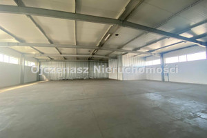 Komercyjne do wynajęcia 1100m2 Bydgoszcz Bydgoszcz Wsch, Siernieczek, Brdyujście - zdjęcie 1