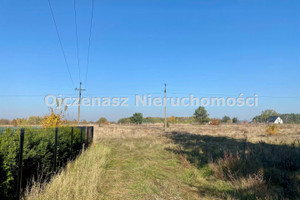 Działka na sprzedaż 1234m2 bydgoski Białe Błota Łochowice - zdjęcie 3