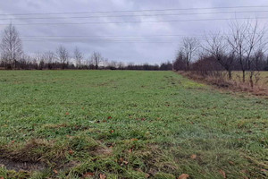 Działka na sprzedaż 2436m2 łódzki wschodni Koluszki Gen. Stanisława Maczka - zdjęcie 2