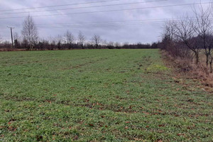 Działka na sprzedaż 2436m2 łódzki wschodni Koluszki Gen. Stanisława Maczka - zdjęcie 1