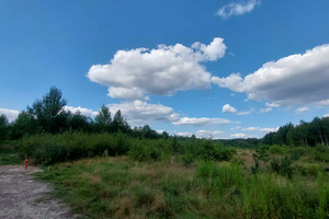 Działka na sprzedaż 1001m2 opoczyński Białaczów Zakrzów - zdjęcie 1