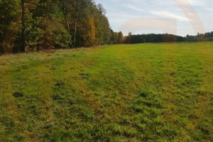 Działka na sprzedaż 7230m2 ełcki Prostki - zdjęcie 3