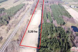 Działka na sprzedaż 32000m2 włocławski Kowal Gołaszewo - zdjęcie 2