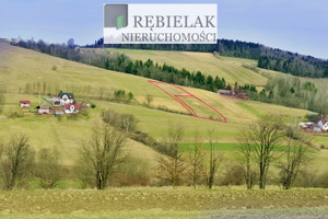 Działka na sprzedaż 2450m2 nowosądecki Korzenna Lipnica Wielka - zdjęcie 2