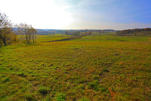 Działka na sprzedaż 2624m2 kartuski Żukowo Borkowo Brzozowa - zdjęcie 2