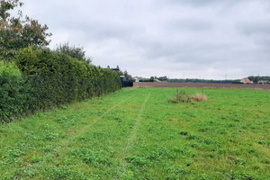 Działka na sprzedaż 1000m2 kartuski Somonino Borcz - zdjęcie 2