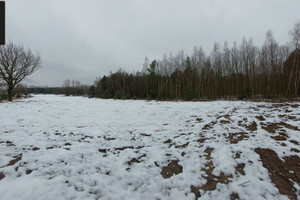 Działka na sprzedaż 10900m2 turecki Władysławów Natalia - zdjęcie 1