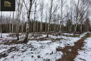 Działka na sprzedaż 10900m2 turecki Władysławów Natalia - zdjęcie 2