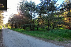 Działka na sprzedaż 1000m2 koniński Ślesin Żółwiniec - zdjęcie 1