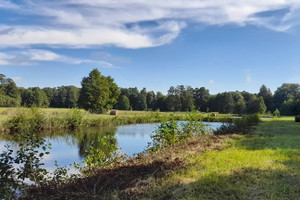 Działka na sprzedaż koniński Krzymów Nowy Krzymów - zdjęcie 1