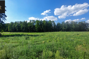 Działka na sprzedaż 5200m2 koniński Skulsk Koszewo - zdjęcie 3