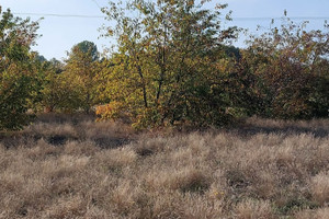 Działka na sprzedaż 1614m2 koniński Golina Kawnice - zdjęcie 1