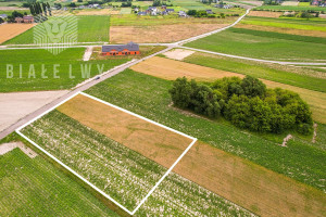 Działka na sprzedaż 4157m2 pruszkowski Raszyn Łady Grudzi - zdjęcie 1