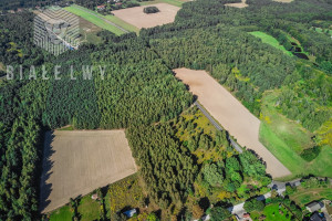 Działka na sprzedaż 78647m2 łódzki wschodni Nowosolna Borchówka - zdjęcie 3