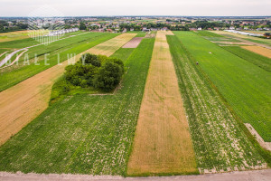 Działka na sprzedaż 4157m2 pruszkowski Raszyn Łady Grudzi - zdjęcie 2