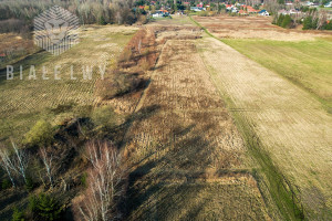 Działka na sprzedaż 6124m2 piaseczyński Lesznowola Wilcza Góra Gwiaździsta - zdjęcie 2