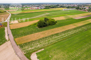 Działka na sprzedaż 4157m2 pruszkowski Raszyn Łady Grudzi - zdjęcie 3