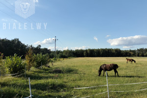 Działka na sprzedaż 3313m2 siedlecki Kotuń Jagodne - zdjęcie 1