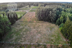 Działka na sprzedaż 3000m2 płoński Sochocin Baraki - zdjęcie 2