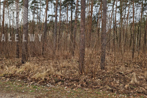 Działka na sprzedaż 5200m2 warszawski zachodni Łomianki Dąbrowa Leśnych Dębów - zdjęcie 3