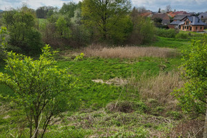 Działka na sprzedaż 5000m2 krakowski Liszki Kaszów - zdjęcie 1