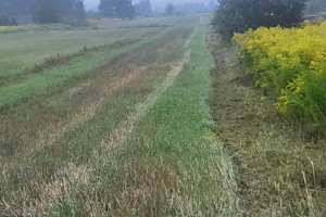 Działka na sprzedaż krakowski Liszki Cholerzyn - zdjęcie 1