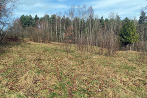 Działka na sprzedaż suski Stryszawa Krzeszów - zdjęcie 3