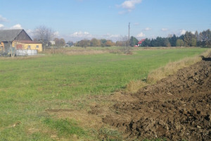 Działka na sprzedaż 5900m2 oświęcimski Oświęcim Babice - zdjęcie 1