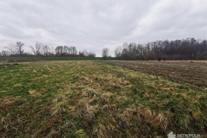 Działka na sprzedaż 1900m2 oświęcimski Oświęcim Babice - zdjęcie 2