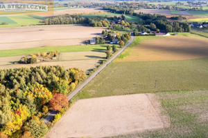 Działka na sprzedaż pułtuski Winnica - zdjęcie 3