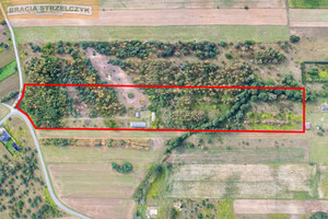 Działka na sprzedaż 40100m2 nowodworski Czosnów Cybulice - zdjęcie 1