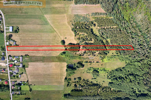 Działka na sprzedaż 10965m2 miński Kałuszyn Nowe Groszki - zdjęcie 2