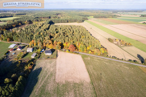 Działka na sprzedaż pułtuski Winnica Gnaty-Lewiski - zdjęcie 1